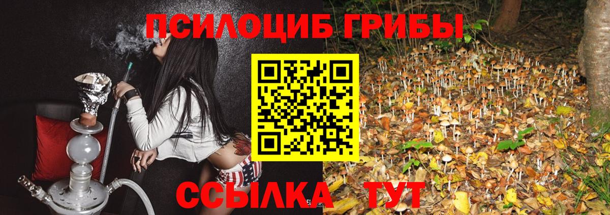 Спасск-Дальний  Псилоцибиновые грибы Magic Shrooms  цены наркотик  Вход с VPN 