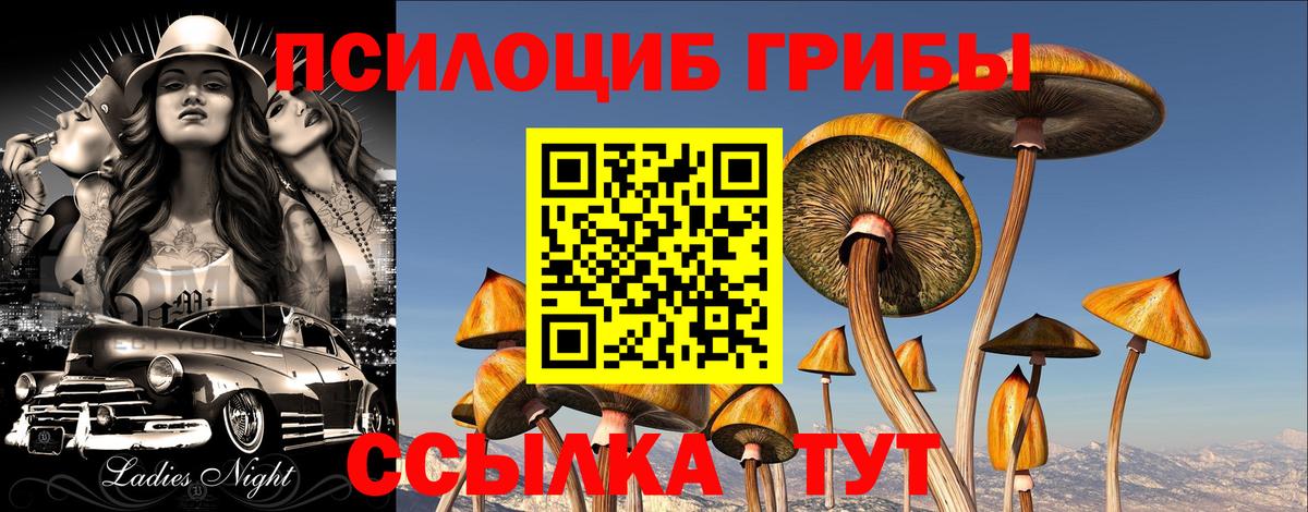 Галлюциногенные грибы Psilocybe Спасск-Дальний